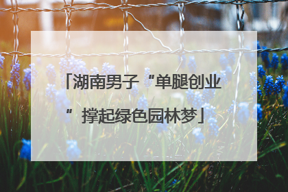 湖南男子“单腿创业”撑起绿色园林梦