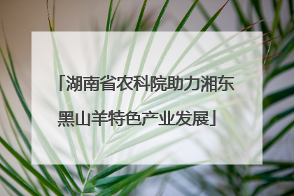 湖南省农科院助力湘东黑山羊特色产业发展
