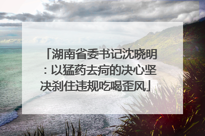 湖南省委书记沈晓明：以猛药去疴的决心坚决刹住违规吃喝歪风