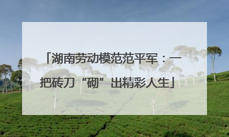 湖南劳动模范范平军：一把砖刀“砌”出精彩人生