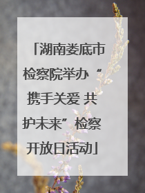 湖南娄底市检察院举办“携手关爱 共护未来”检察开放日活动