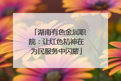 湖南有色金属职院：让红色精神在为民服务中闪耀