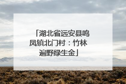 湖北省远安县鸣凤镇北门村：竹林遍野绿生金