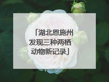 湖北恩施州发现三种两栖动物新记录