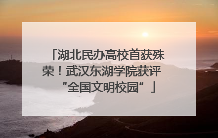 湖北民办高校首获殊荣！武汉东湖学院获评“全国文明校园”