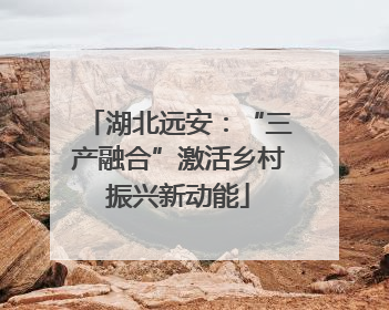 湖北远安：“三产融合”激活乡村振兴新动能