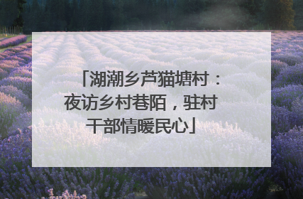 湖潮乡芦猫塘村：夜访乡村巷陌，驻村干部情暖民心