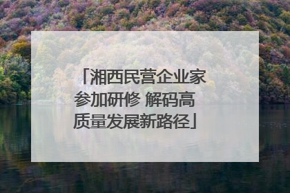 湘西民营企业家参加研修 解码高质量发展新路径