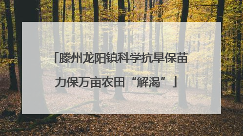 滕州龙阳镇科学抗旱保苗 力保万亩农田“解渴”