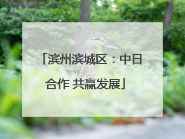 滨州滨城区：中日合作 共赢发展
