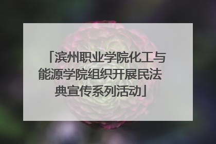 滨州职业学院化工与能源学院组织开展民法典宣传系列活动