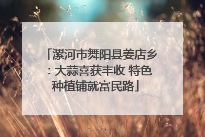 漯河市舞阳县姜店乡：大蒜喜获丰收 特色种植铺就富民路