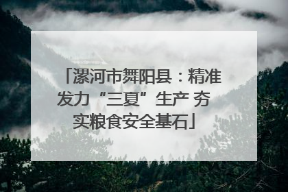 漯河市舞阳县：精准发力“三夏”生产 夯实粮食安全基石