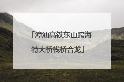 漳汕高铁东山跨海特大桥栈桥合龙