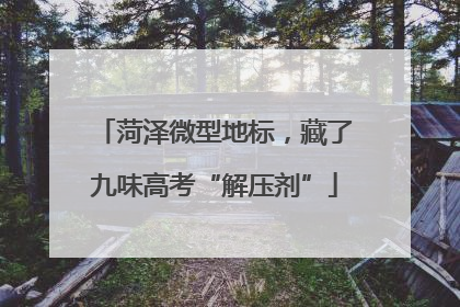 菏泽微型地标，藏了九味高考“解压剂”