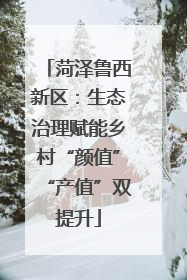 菏泽鲁西新区：生态治理赋能乡村“颜值”“产值”双提升