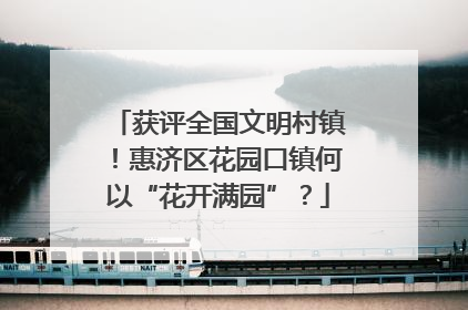 获评全国文明村镇！惠济区花园口镇何以“花开满园”？