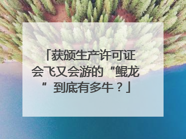 获颁生产许可证 会飞又会游的“鲲龙”到底有多牛？