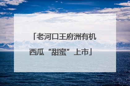 老河口王府洲有机西瓜“甜蜜”上市