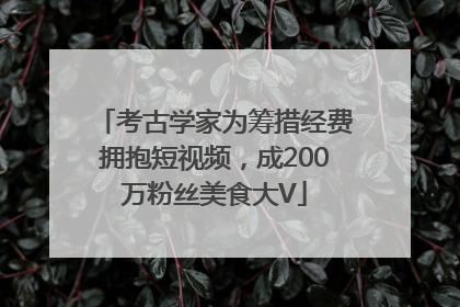 考古学家为筹措经费拥抱短视频，成200万粉丝美食大V