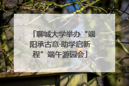 聊城大学举办“端阳承古意·助学启新程”端午游园会