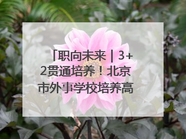 职向未来｜3+2贯通培养！北京市外事学校培养高端服务人才
