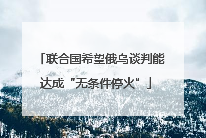 联合国希望俄乌谈判能达成“无条件停火”