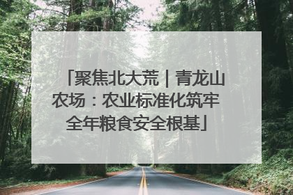 聚焦北大荒｜青龙山农场：农业标准化筑牢全年粮食安全根基