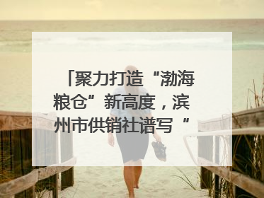 聚力打造“渤海粮仓”新高度，滨州市供销社谱写“三夏”丰收乐章