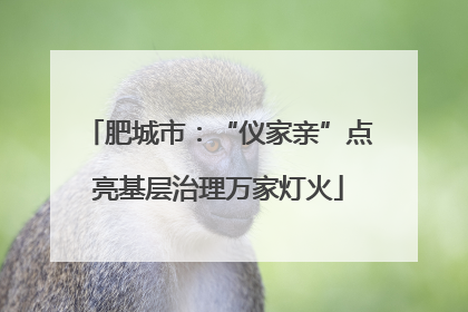 肥城市：“仪家亲”点亮基层治理万家灯火