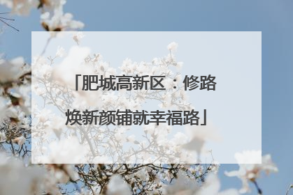 肥城高新区：修路焕新颜铺就幸福路