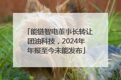 能链智电董事长转让团油科技，2024年年报至今未能发布