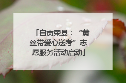 自贡荣县：“黄丝带爱心送考”志愿服务活动启动