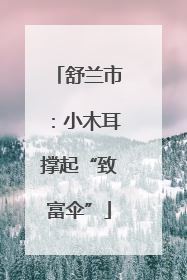 舒兰市：小木耳撑起“致富伞”