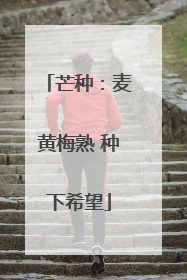 芒种：麦黄梅熟 种下希望