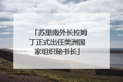苏里南外长拉姆丁正式出任美洲国家组织秘书长