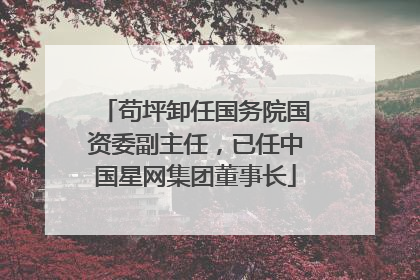 苟坪卸任国务院国资委副主任，已任中国星网集团董事长