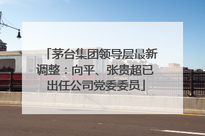 茅台集团领导层最新调整：向平、张贵超已出任公司党委委员