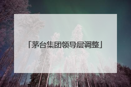 茅台集团领导层调整