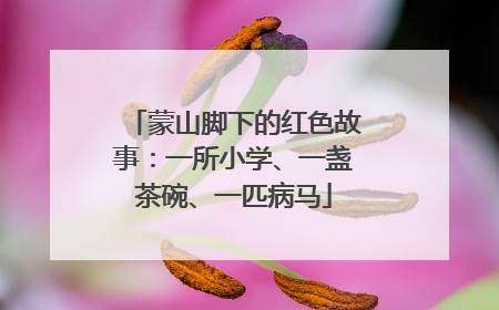蒙山脚下的红色故事：一所小学、一盏茶碗、一匹病马