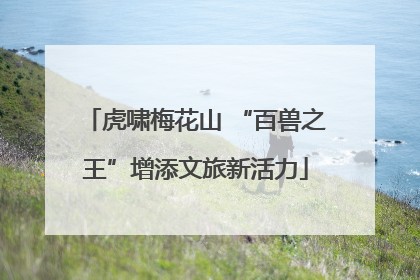 虎啸梅花山 “百兽之王”增添文旅新活力