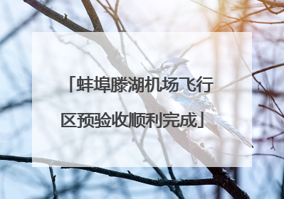 蚌埠滕湖机场飞行区预验收顺利完成