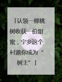 认领一棵桃树收获一份甜蜜，宁乡这个村邀你成为“树主”