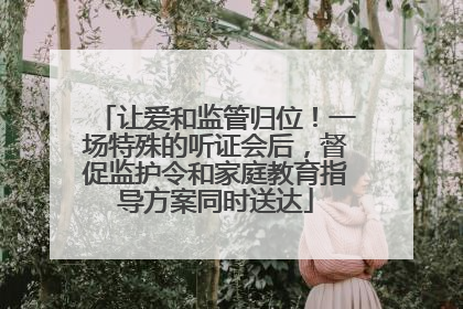 让爱和监管归位！一场特殊的听证会后，督促监护令和家庭教育指导方案同时送达