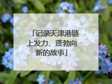 记录天津港链上发力、蓬勃向新的故事