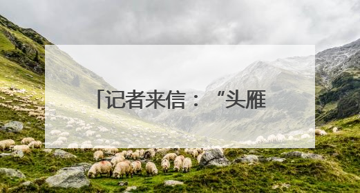 记者来信：“头雁”是这样炼成的