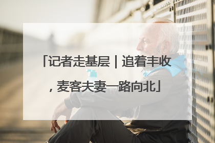 记者走基层｜追着丰收，麦客夫妻一路向北