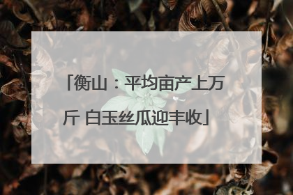 衡山：平均亩产上万斤 白玉丝瓜迎丰收