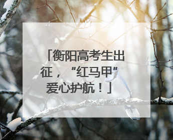 衡阳高考生出征，“红马甲”爱心护航！
