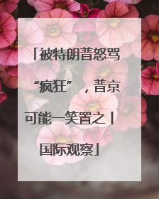 被特朗普怒骂“疯狂”，普京可能一笑置之丨国际观察
